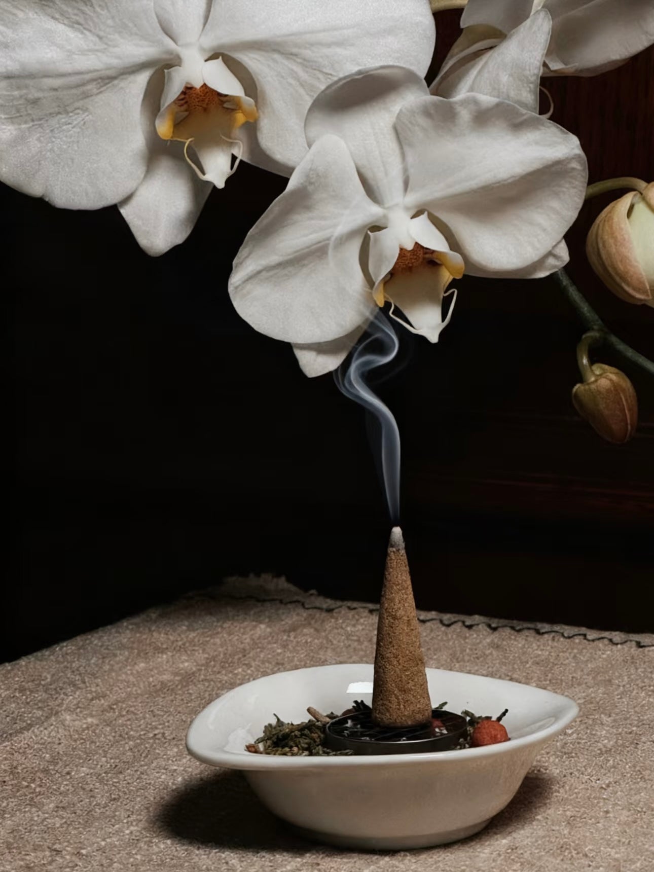 Backflow Incense Cones Guide | Soothing Home Atmosphere here – HIMALAYA ZEN
