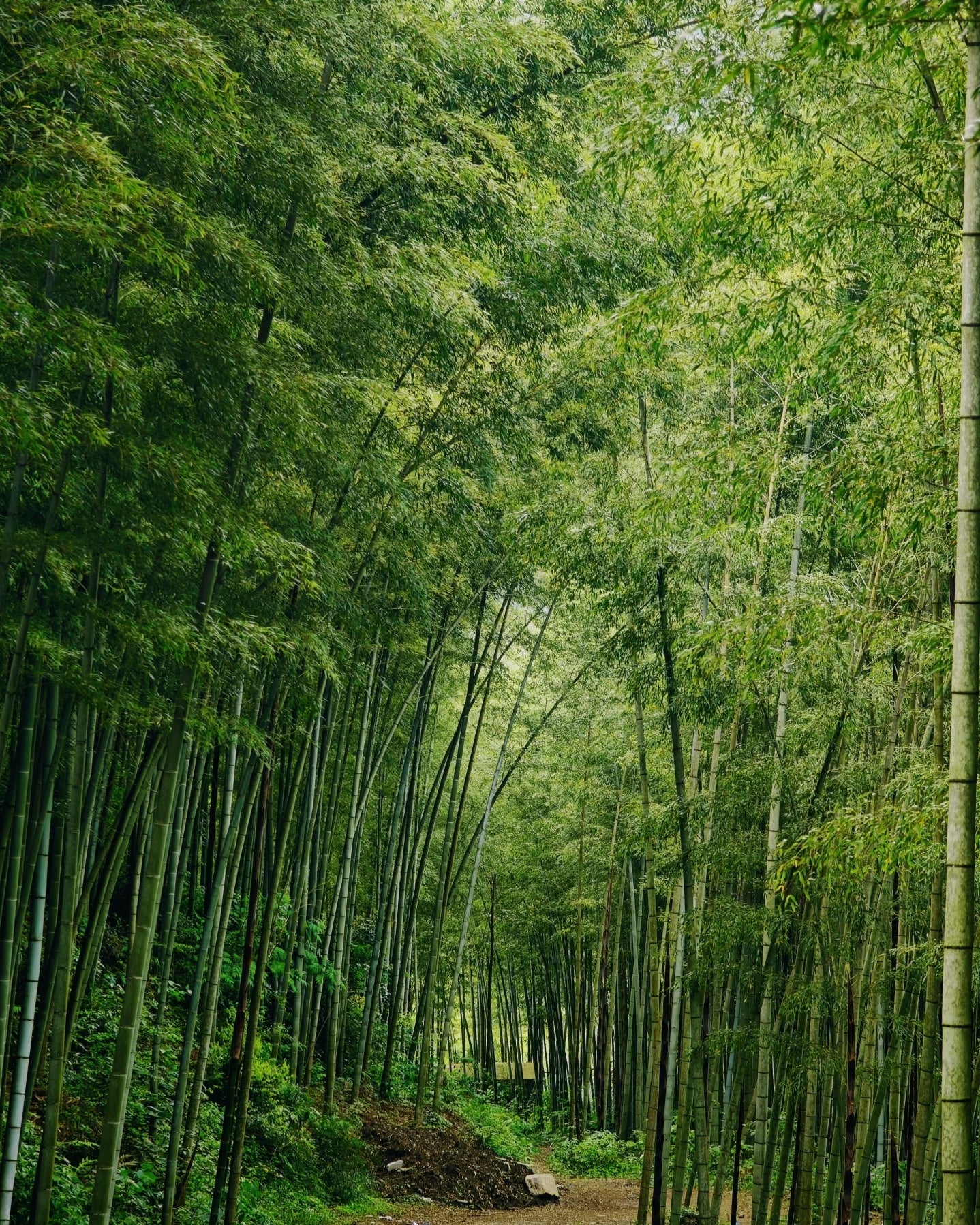 The Ideal Bamboo Prostration Mat for Ngondro Practitioners